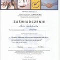Powiększ obraz: certificate 3