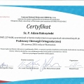 Powiększ obraz: certificate 2