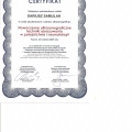 Powiększ obraz: certificate 17