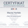 Powiększ obraz: certificate 2