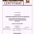 Powiększ obraz: certificate 52