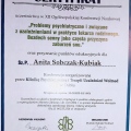 Powiększ obraz: certificate 25