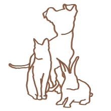 Centrum Zdrowia Zwierząt Weterynarz Golub-Dobrzyń