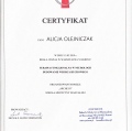 Powiększ obraz: certificate 9