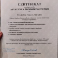 Powiększ obraz: certificate 8