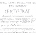 Powiększ obraz: certificate 1