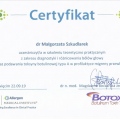 Powiększ obraz: certificate 8