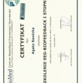 Powiększ obraz: certificate 2