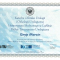 Powiększ obraz: certificate 9