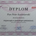 Powiększ obraz: certificate 3
