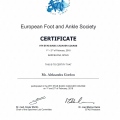 Powiększ obraz: certificate 3
