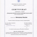 Powiększ obraz: certificate 25