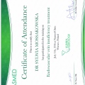 Powiększ obraz: certificate 3