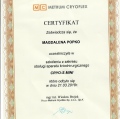 Powiększ obraz: certificate 32