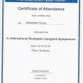 Powiększ obraz: certificate 3