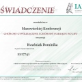 Powiększ obraz: certificate 93