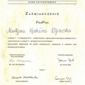 Powiększ obraz: certificate 11