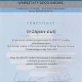 Powiększ obraz: certificate 10