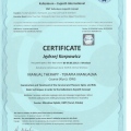 Powiększ obraz: certificate 6