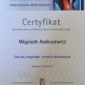 Powiększ obraz: certificate 8