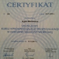 Powiększ obraz: certificate 1