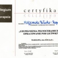 Powiększ obraz: certificate 2