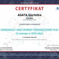 Powiększ obraz: certificate 124