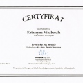 Powiększ obraz: certificate 29