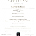 Powiększ obraz: certificate 9