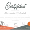Powiększ obraz: certificate 13