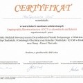 Powiększ obraz: certificate 8