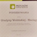 Powiększ obraz: certificate 2