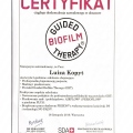 Powiększ obraz: certificate 1