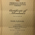 Powiększ obraz: certificate 14