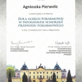 Powiększ obraz: certificate 2