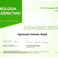 Powiększ obraz: certificate 19