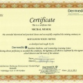 Powiększ obraz: certificate 28