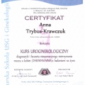 Powiększ obraz: certificate 14