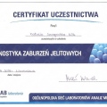 Powiększ obraz: certificate 7