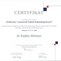 Powiększ obraz: certificate 5