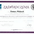 Powiększ obraz: certificate 11