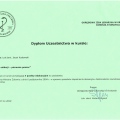 Powiększ obraz: certificate 1