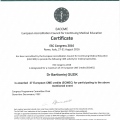 Powiększ obraz: certificate 1
