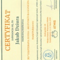 Powiększ obraz: certificate 8