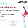 Powiększ obraz: certificate 8
