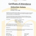 Powiększ obraz: certificate 7