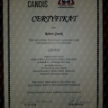 Powiększ obraz: certificate 6