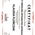 Powiększ obraz: certificate 4