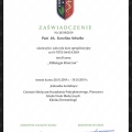 Powiększ obraz: certificate 6