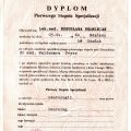 Powiększ obraz: certificate 1